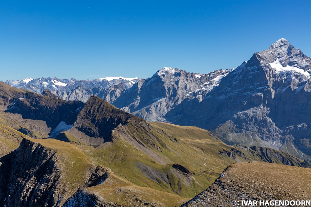 View from the Faulhorn