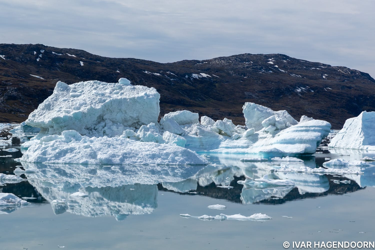 Icebergs in the Disko Bay