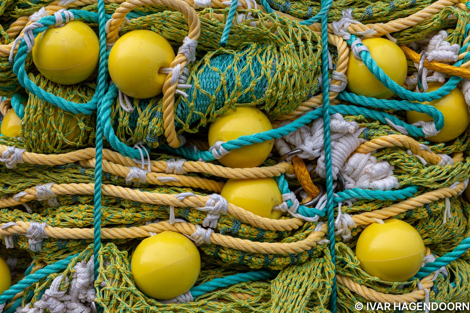 close-up of fishing equipment