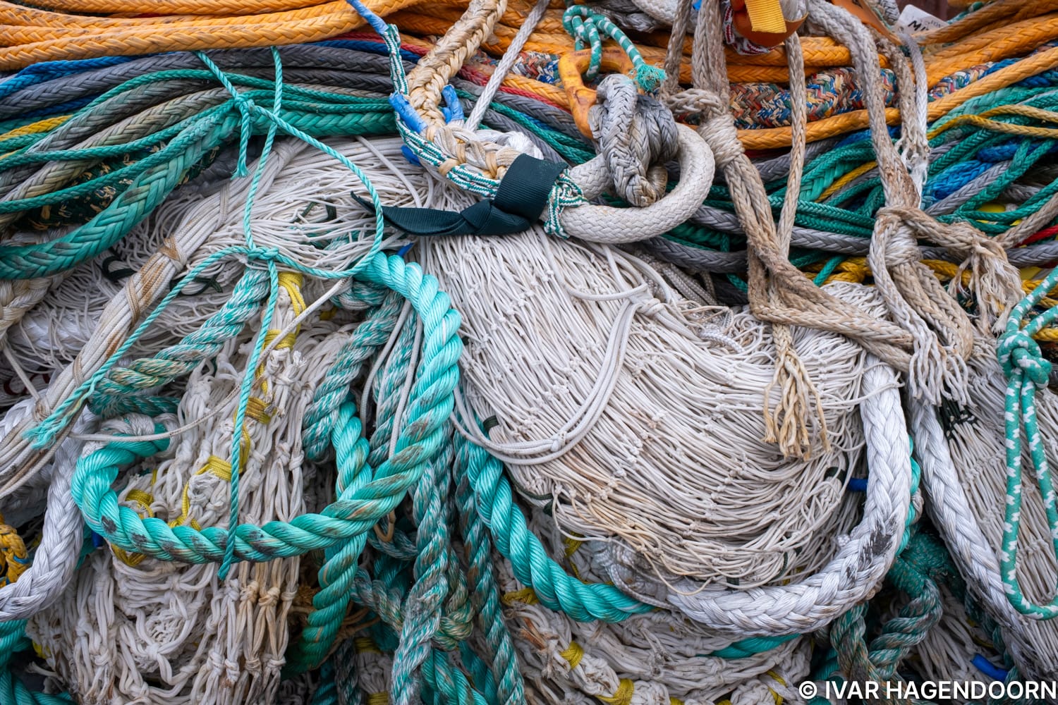 close-up of fishing equipment