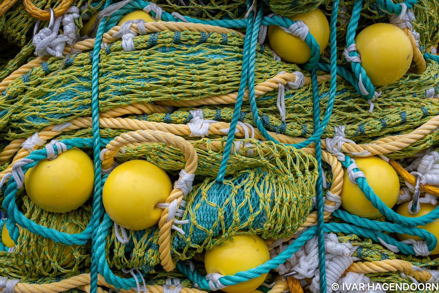 close-up of fishing equipment