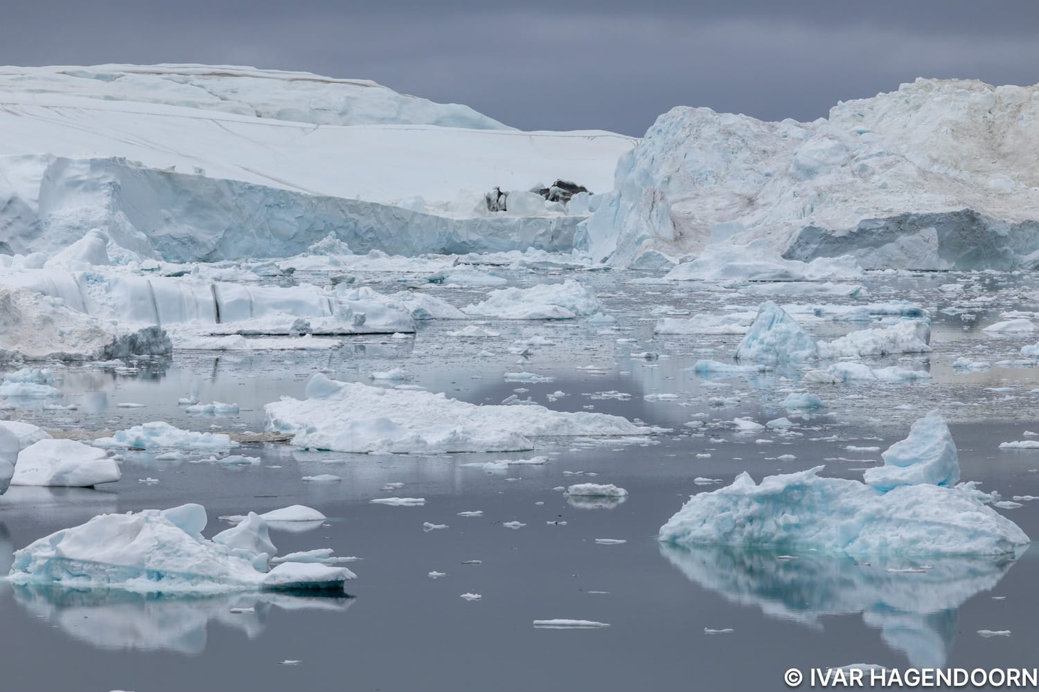Ilulissat icefjord