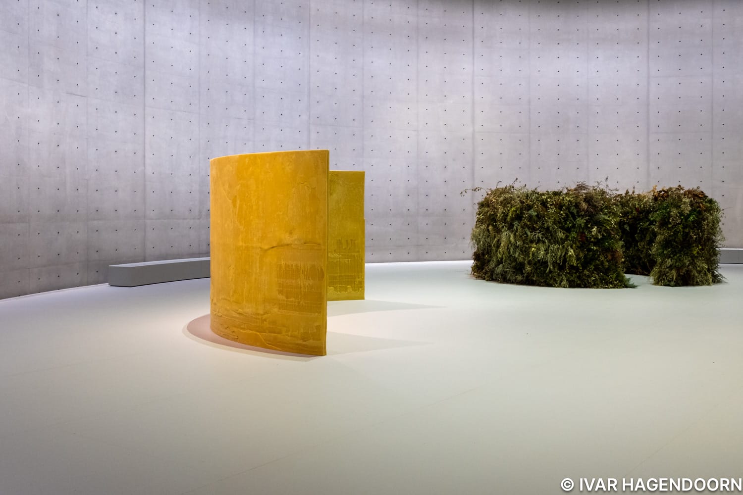 Meg Webster at the Bourse de Commerce