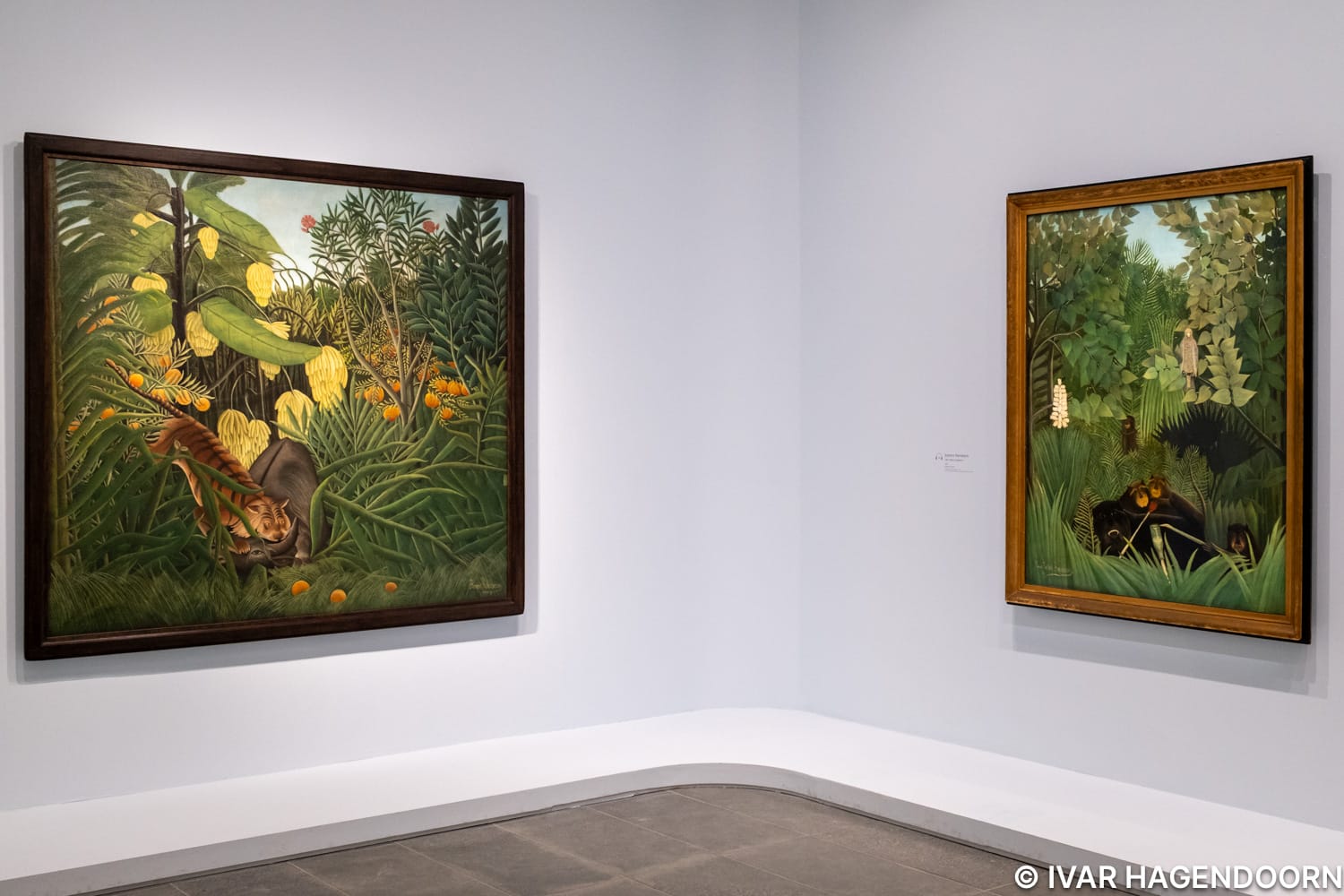 Henri Rousseau at the Musée de l’Orangerie 