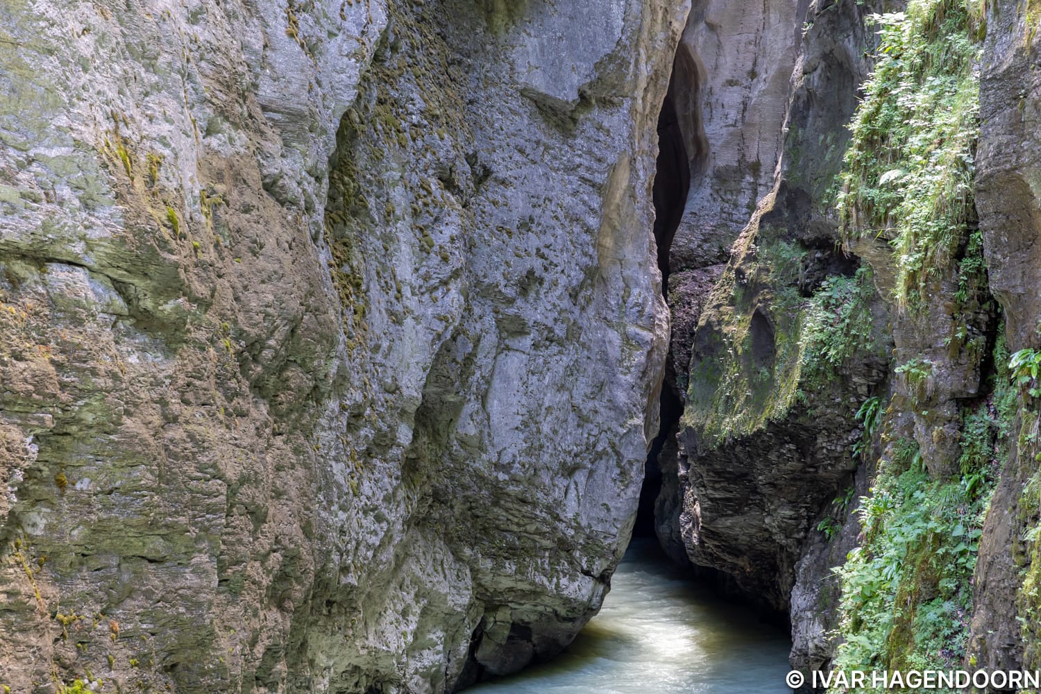 Aareschlucht