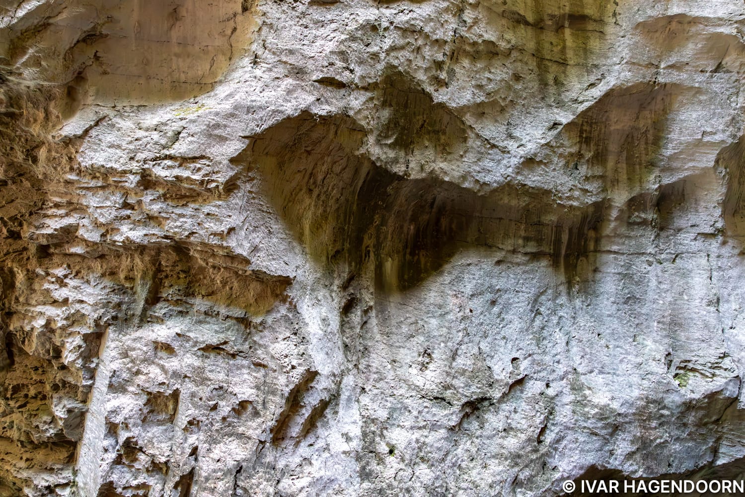 Close-up of the wall of the Aareschlucht
