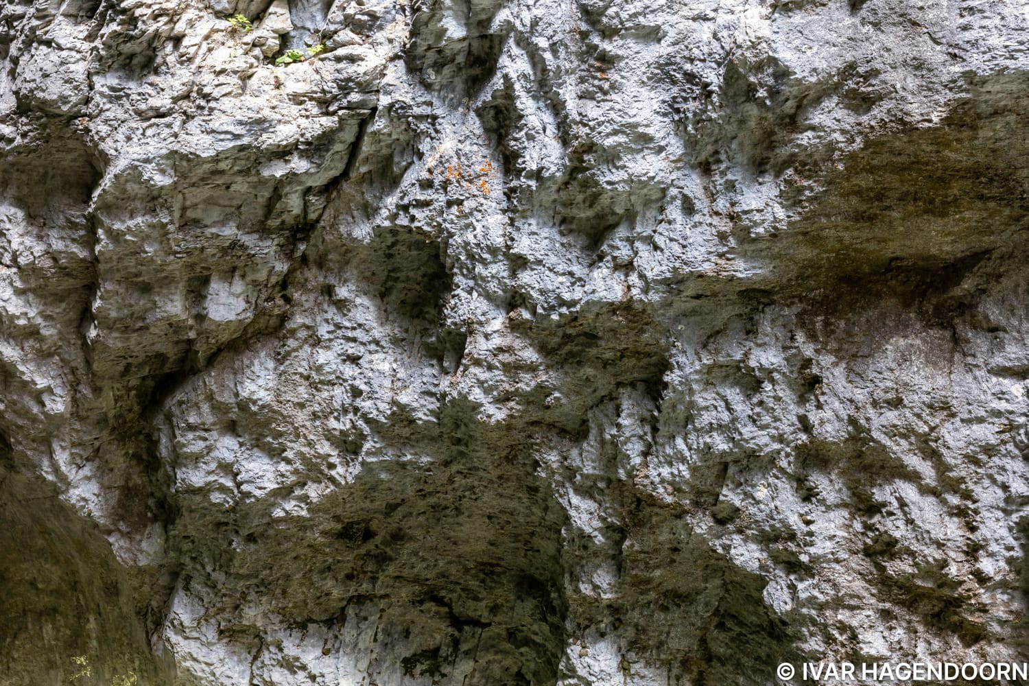 Close-up of the wall of the Aareschlucht