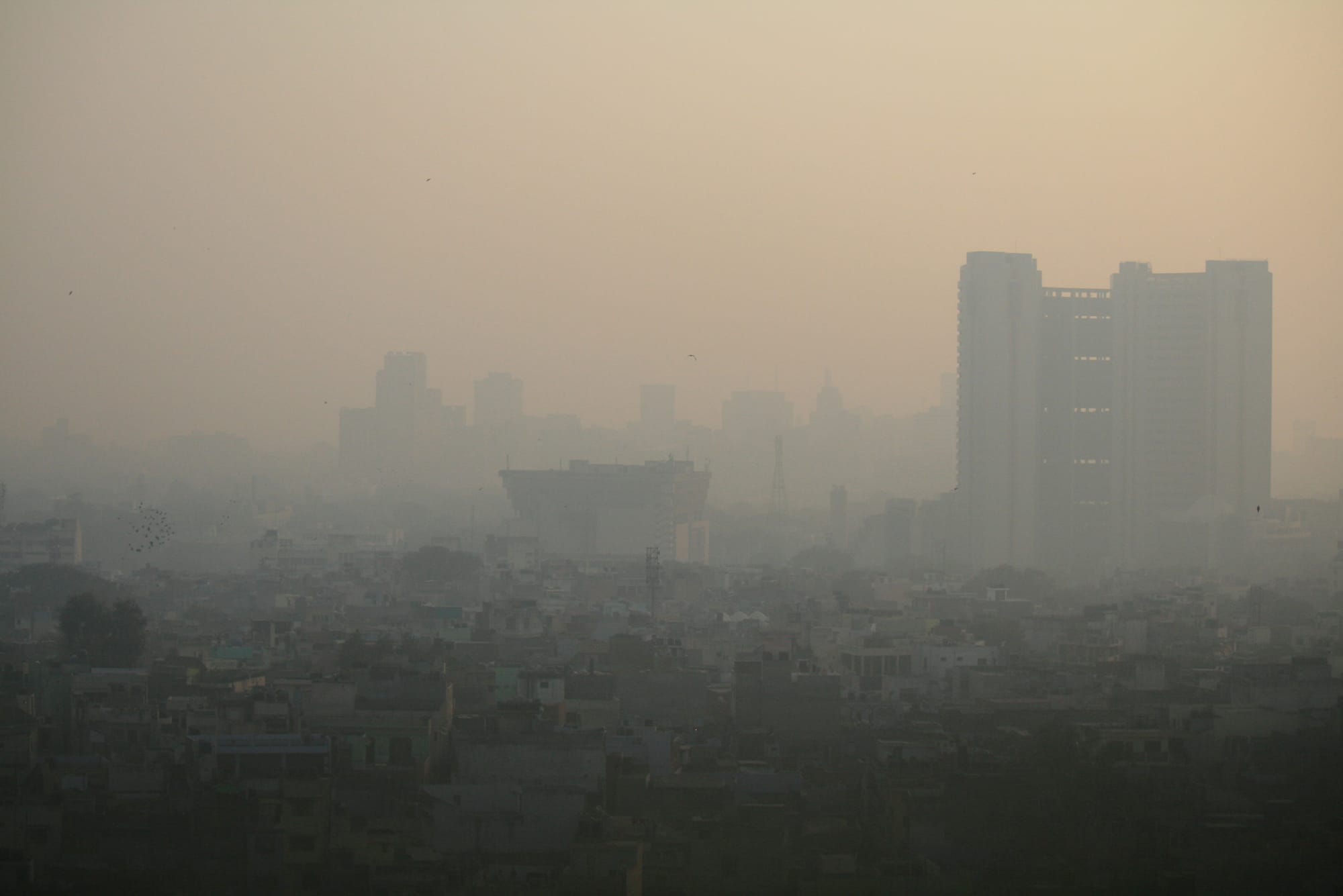 View of West of Delhi, 2011. Image by Jean-Etienne Minh-Duy Poirrier via Flickr