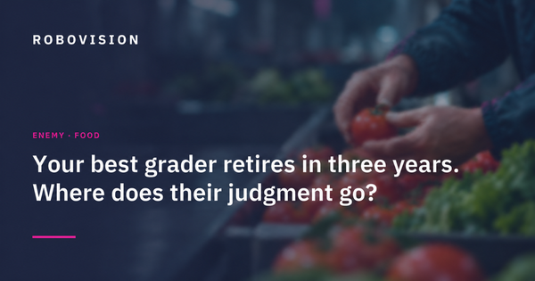Your Best Grader Retires in Three Years. Where Does Their Judgment Go?