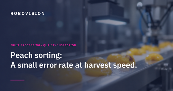 Peach Sorting: A Small Error Rate at Harvest Speed