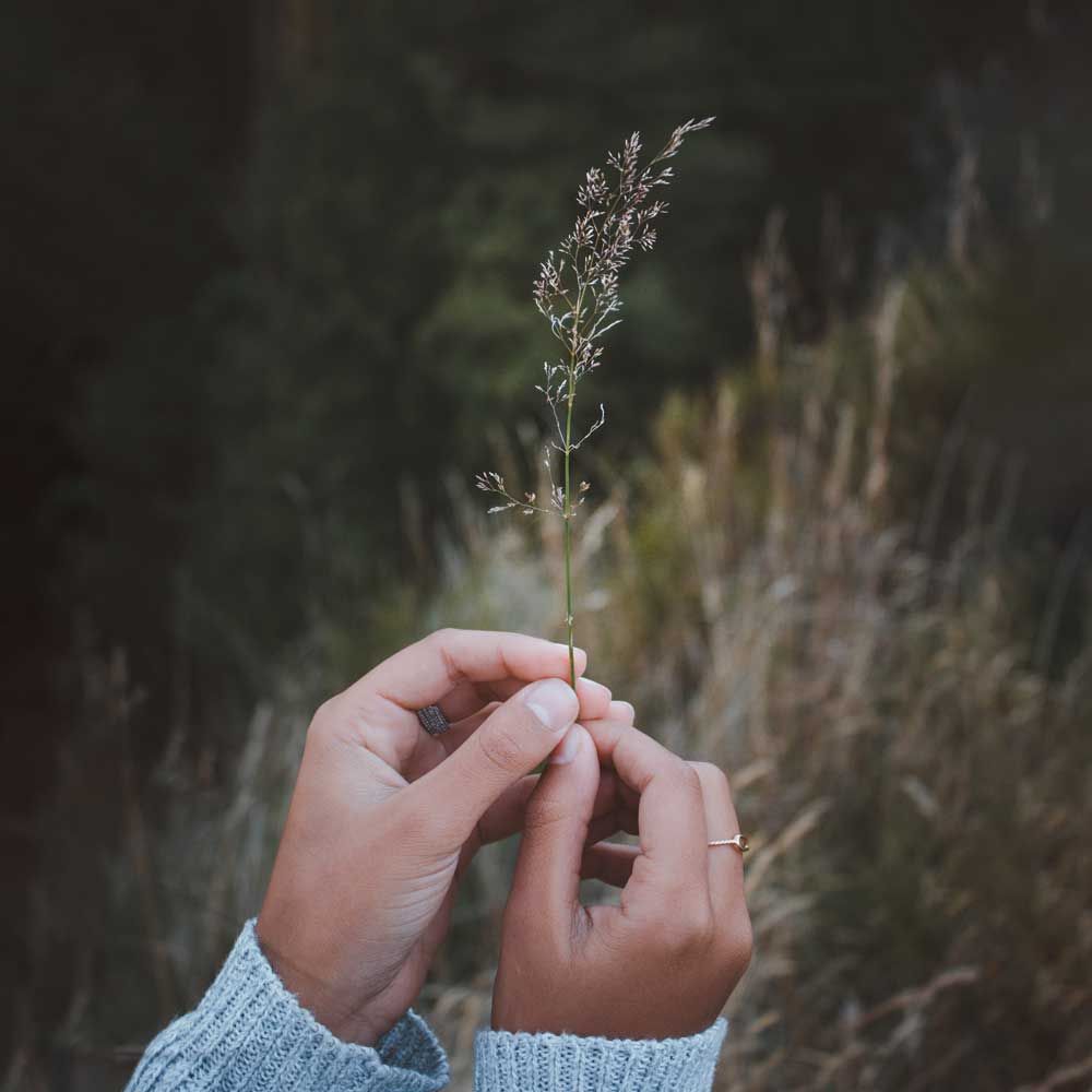 Yes! Je groeit een stukje mindfulness