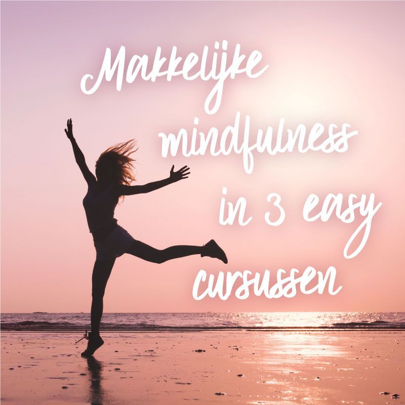 Je Mindfulness Mega Buddha Bundel