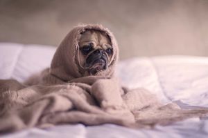Kan mindfulness somberheid verminderen? Zo helpt het