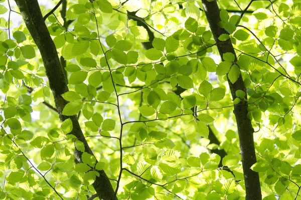 Mindfulness in het dagelijks leven toepassen