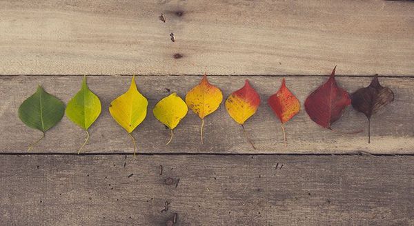 Last van winterdepressie? 3 mindfulness inzichten om je niet te laten kisten.