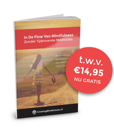 Op zoek naar een mindfulness cursus? Probeer Marisa's makkelijke methode