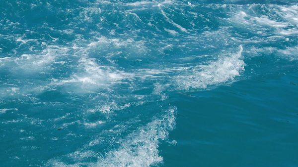 Hydration and Health: How Much Water Do You Really Need?