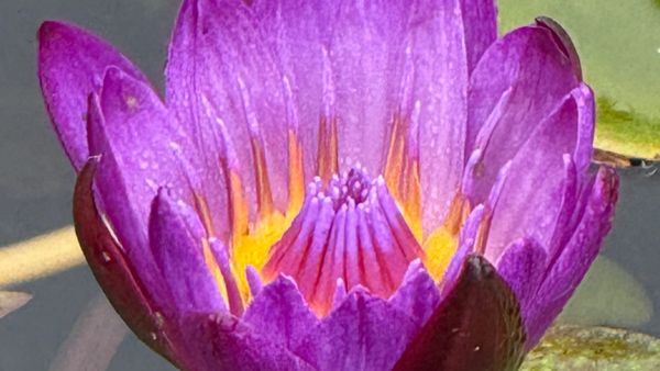 Interoception: How Movement Shapes Our Inner Awareness