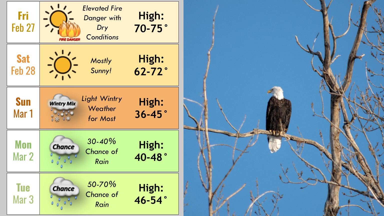 Weather