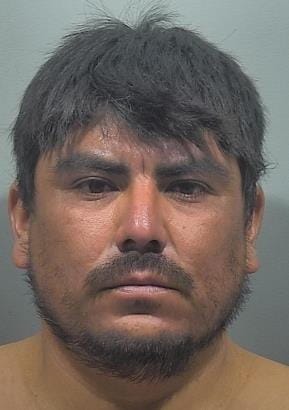 Pizano, Mario Celedon mugshot