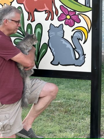 Fleabag the cat admires himself (Lori Bower)