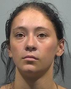 Davis, Audrie Lynn mugshot