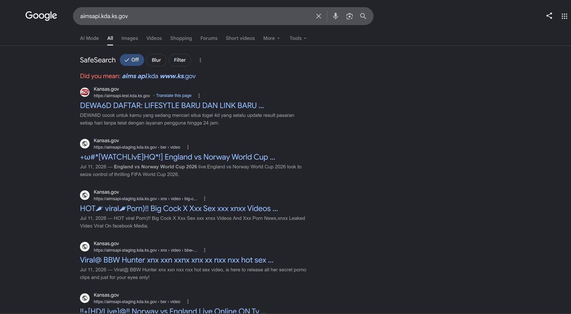 A screenshot of Google results for one of the affected subdomains, captured July 24, 2026. (citizen journal screenshot)