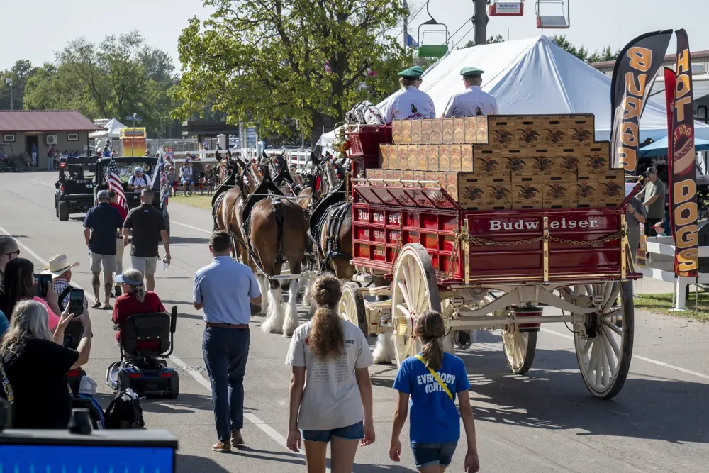 Crowds watch as the Budweiser Clydesdales walk down the road at the Kansas State Fair in Hutchinson, Kan. on Sept. 16, 2026. (Dale Grosbach for Citizen Journal)