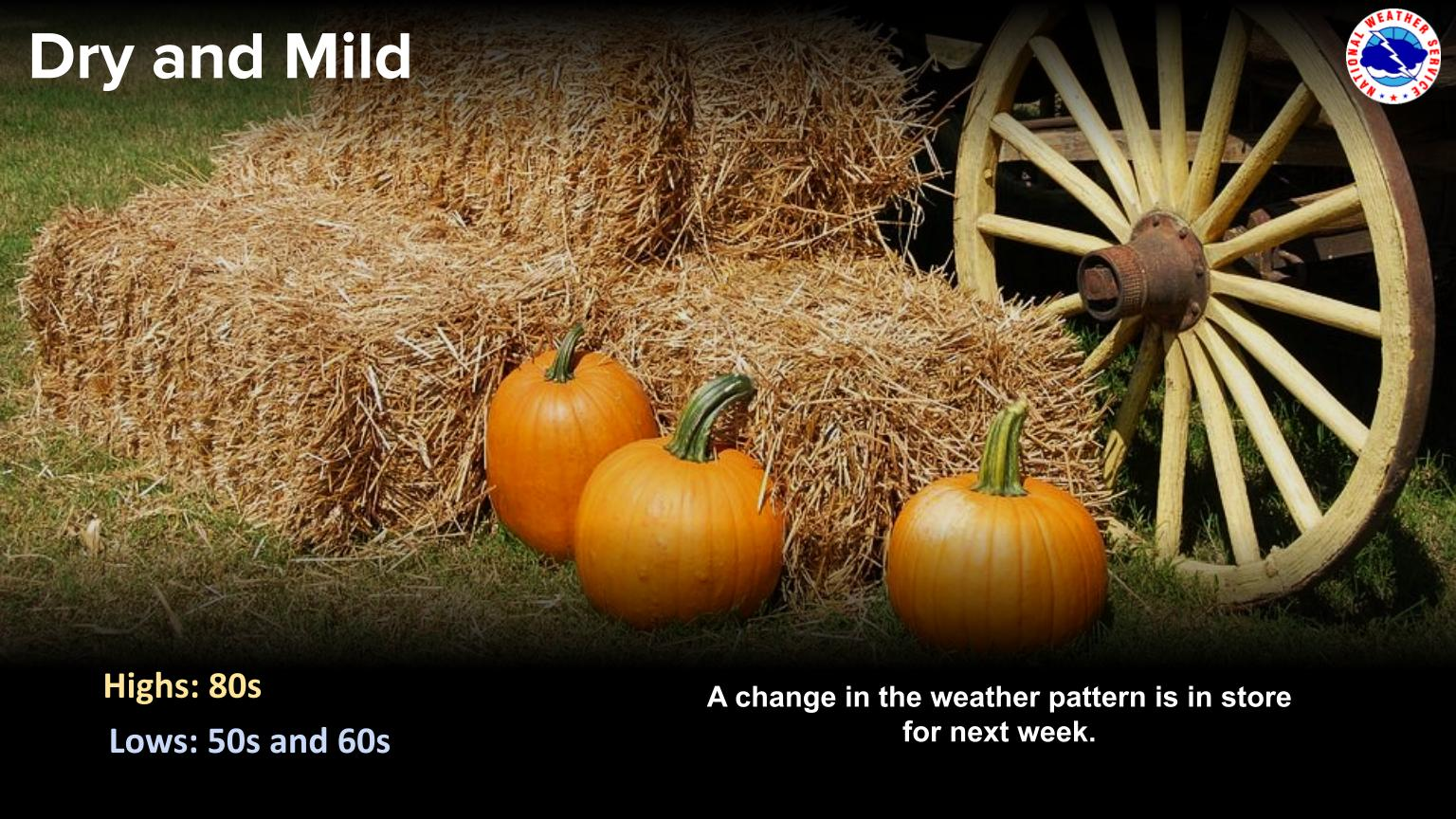 Weather