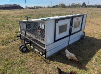 Marquette youth gain hands-on farming experience through new poultry program