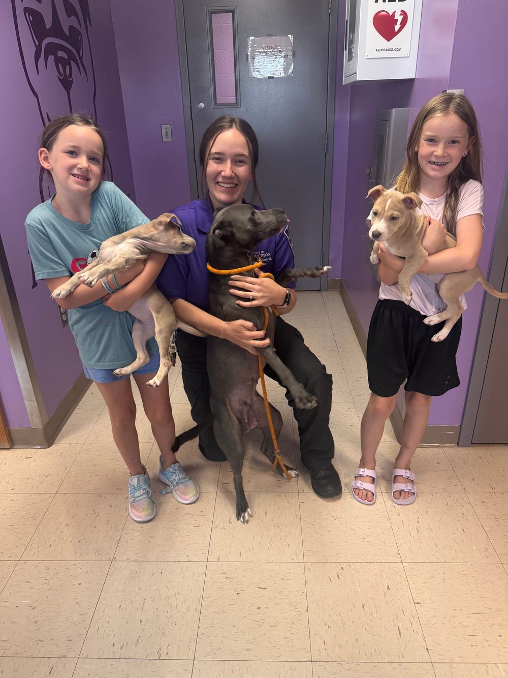 McPherson shelter seeking homes for rescued 'Walmart puppies' and their mother