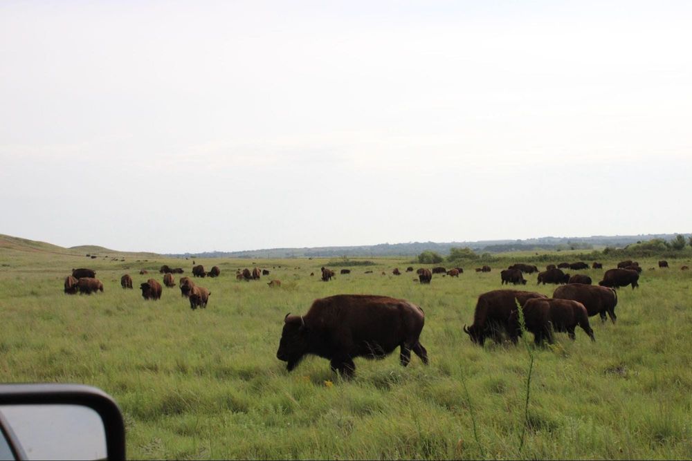 Maxwell Wildlife Refuge balances conservation, education, and visitor safety
