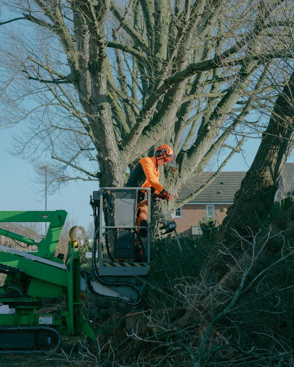 Hays announces new time and size limits for annual fall cleanup