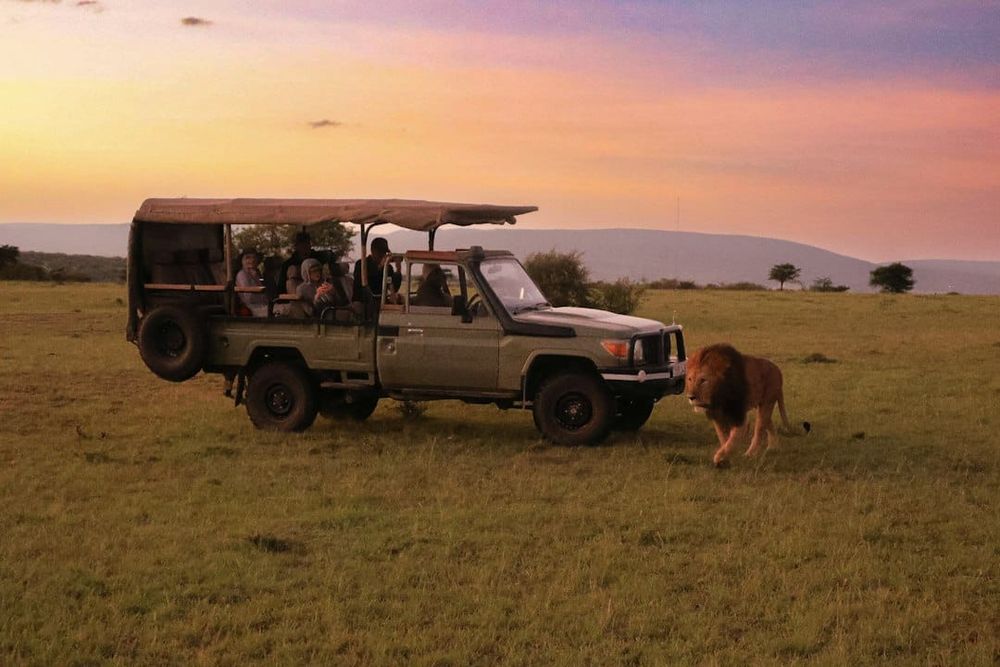 The Cedars opens Tanzania safari talk, decluttering program to McPherson community