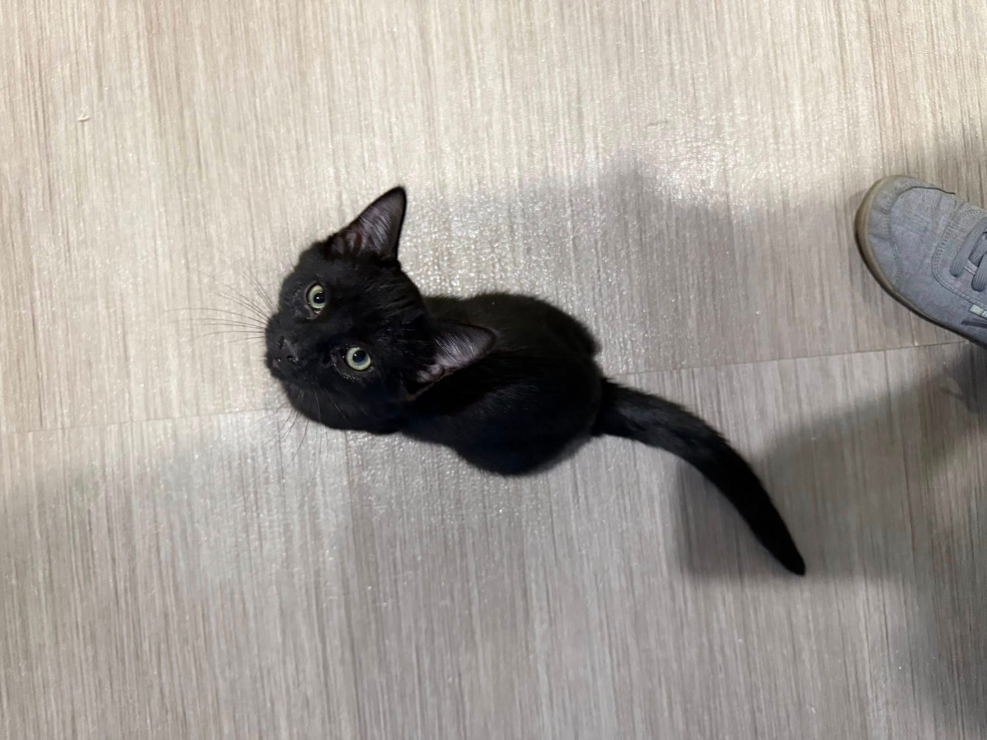 Kemmerer local news summary