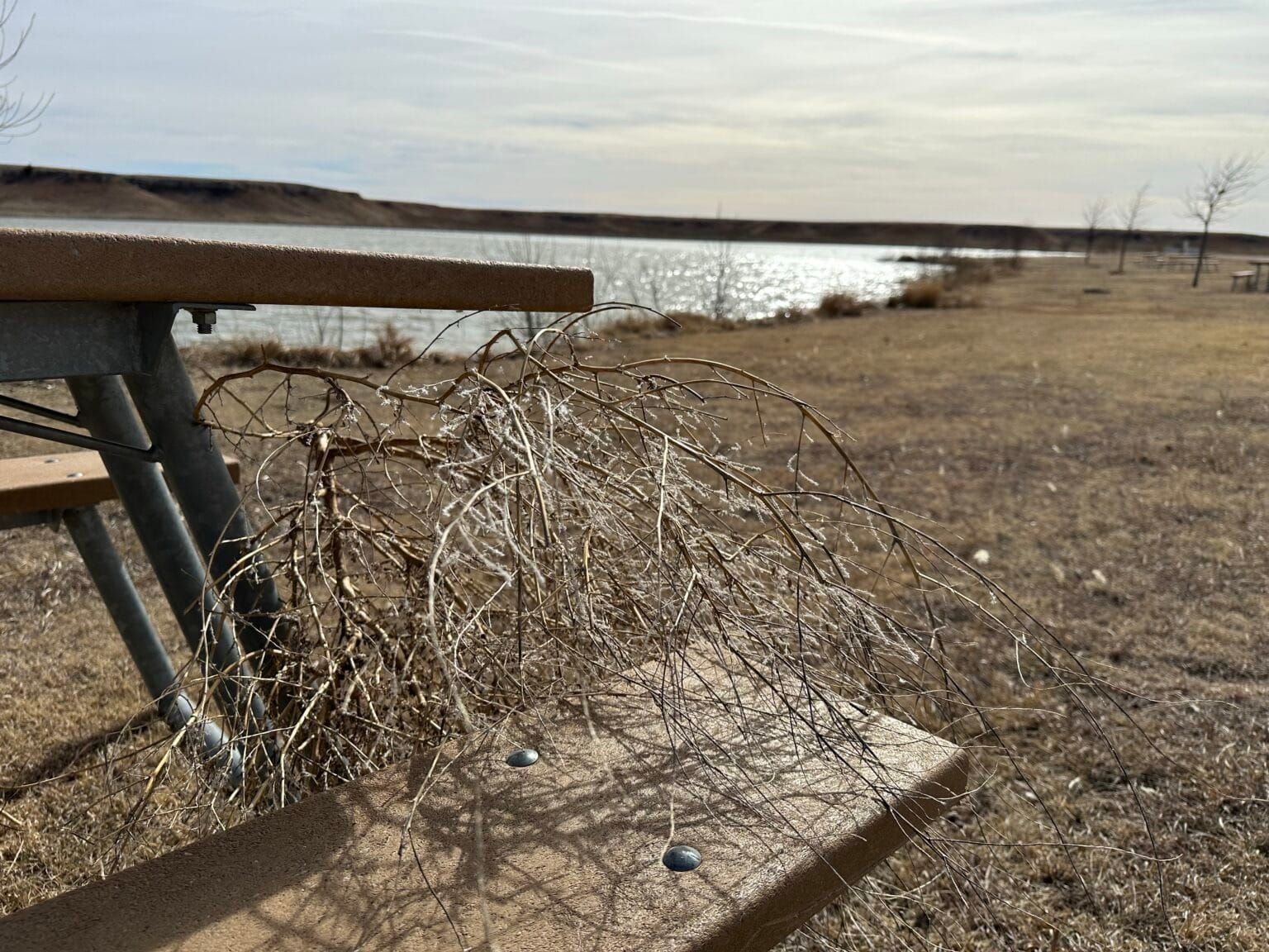 Top 6 Kansas news stories