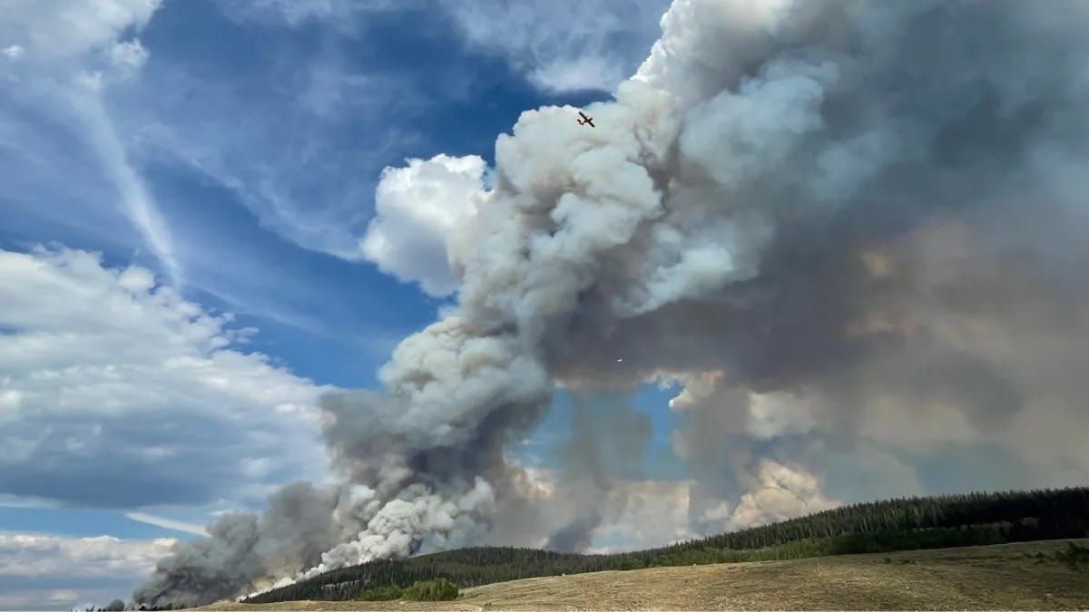 Pinedale local news summary