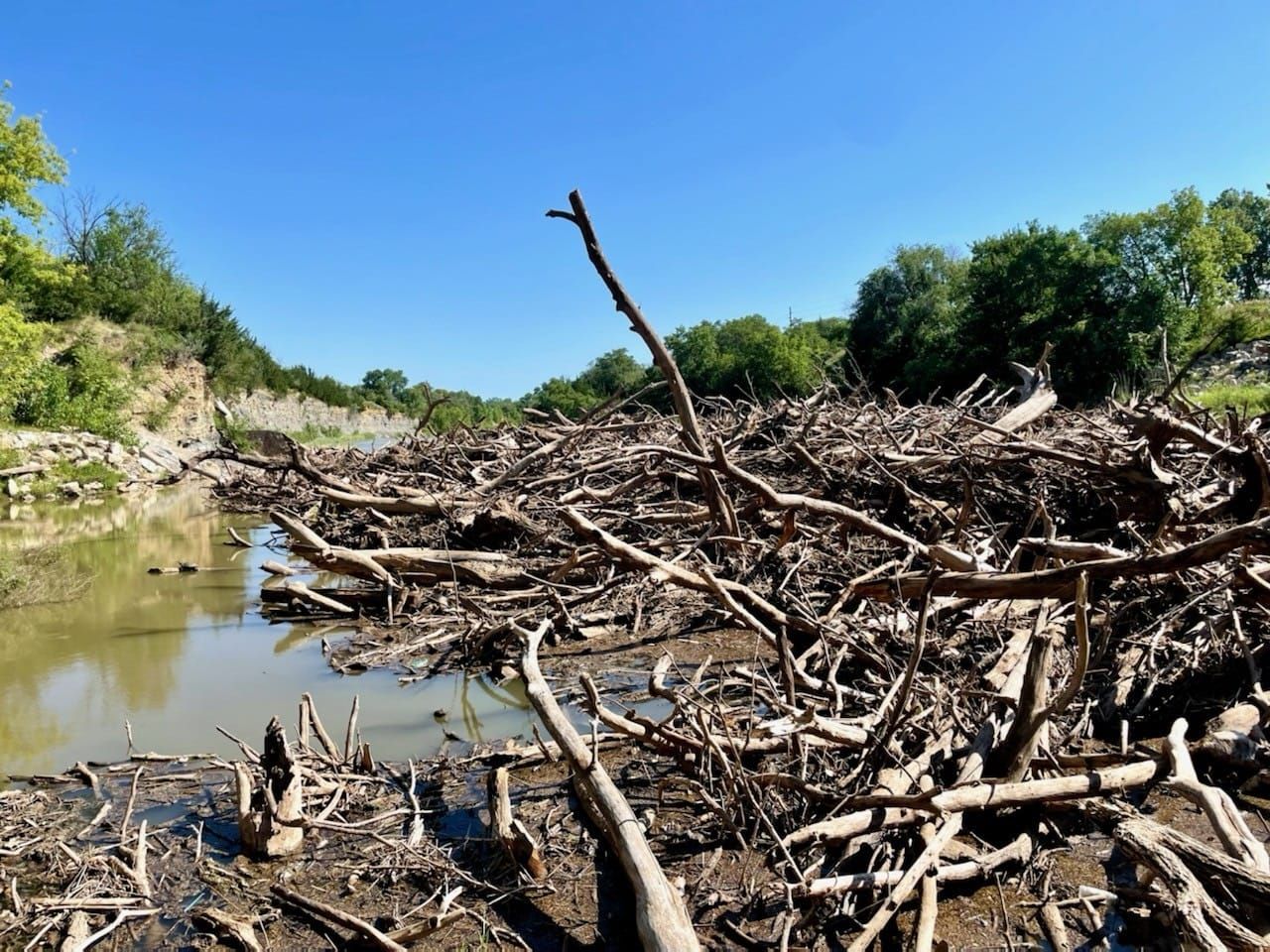 Salina – Week of July 31, 2025