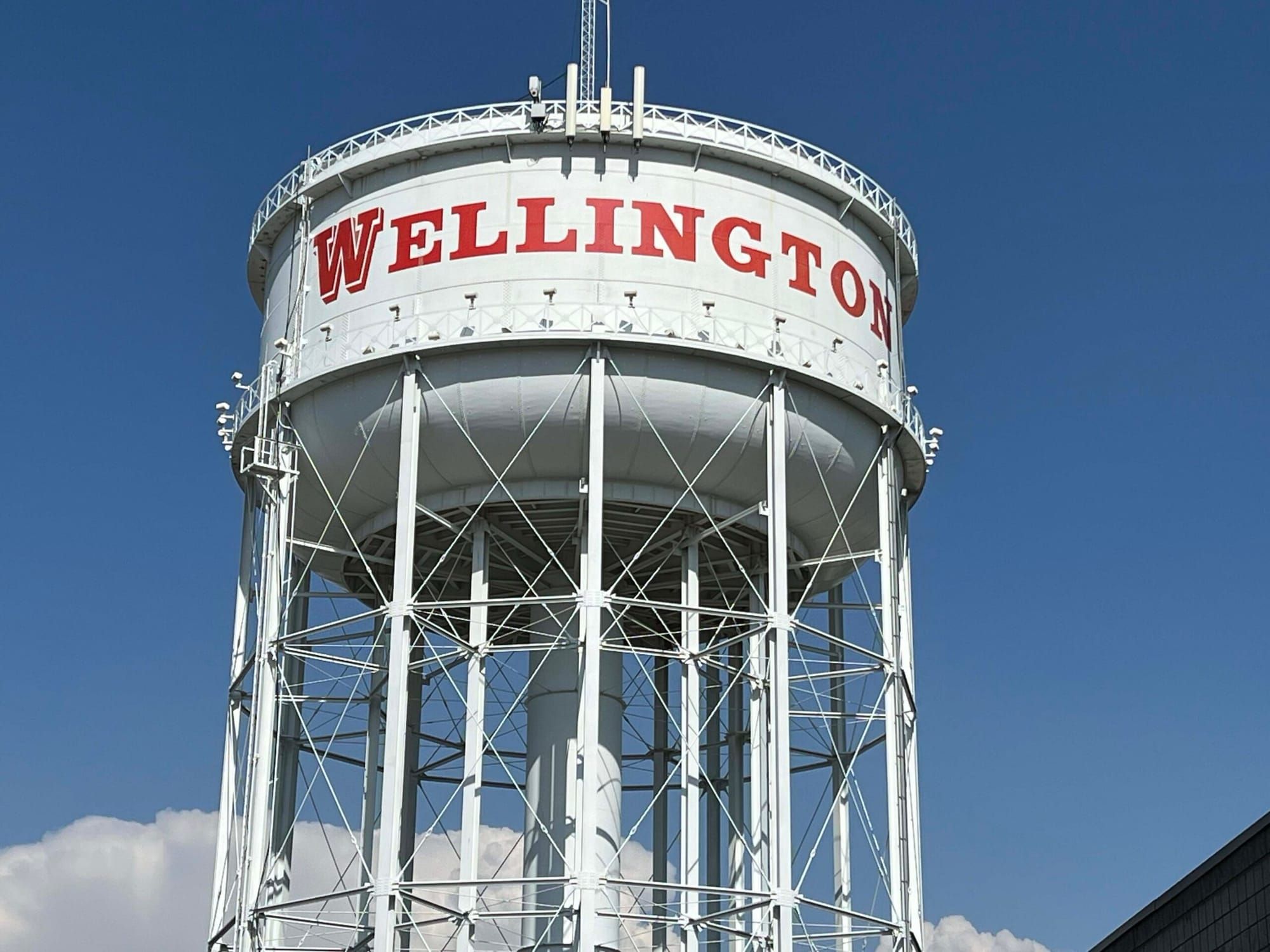 Wellington local news summary