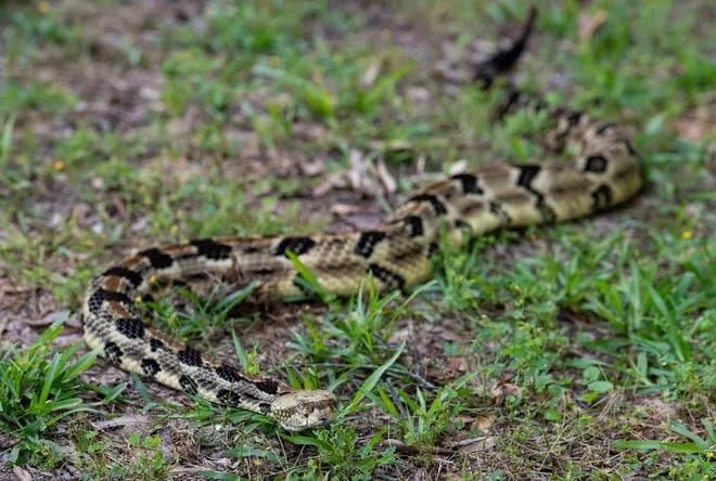 Top 5 Kansas news stories