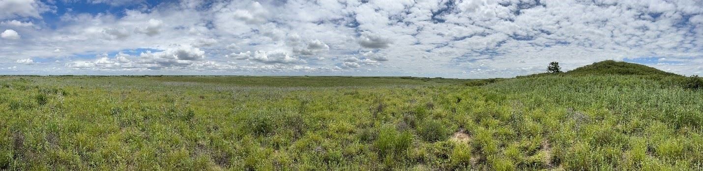 Hays local news summary