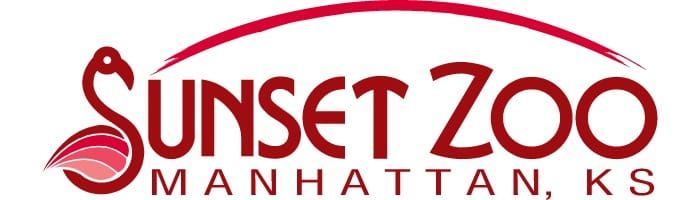 Manhattan City Digest
