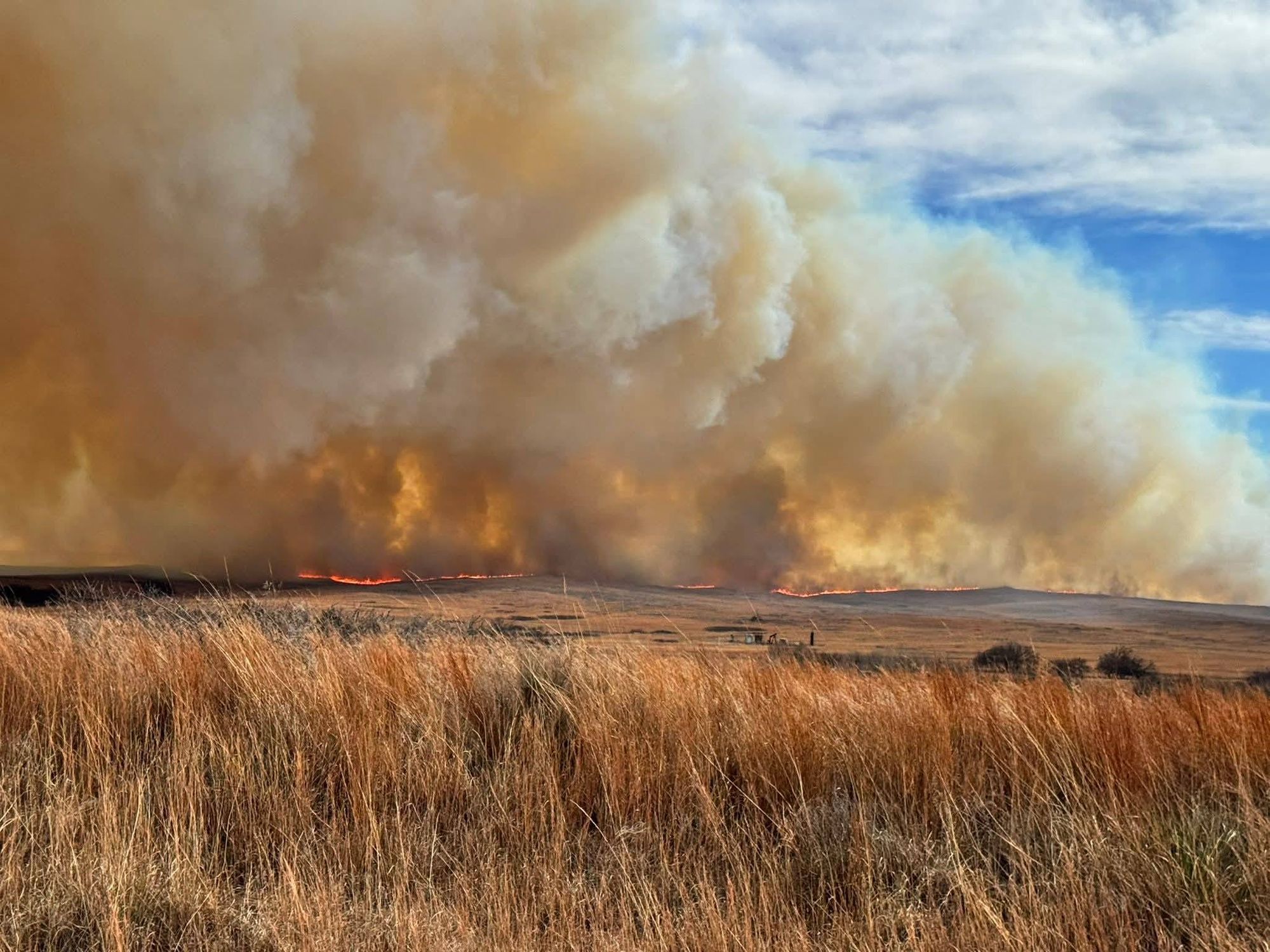 Wildfires Scorch Hundreds of Thousands of Acres Across Southwest Kansas