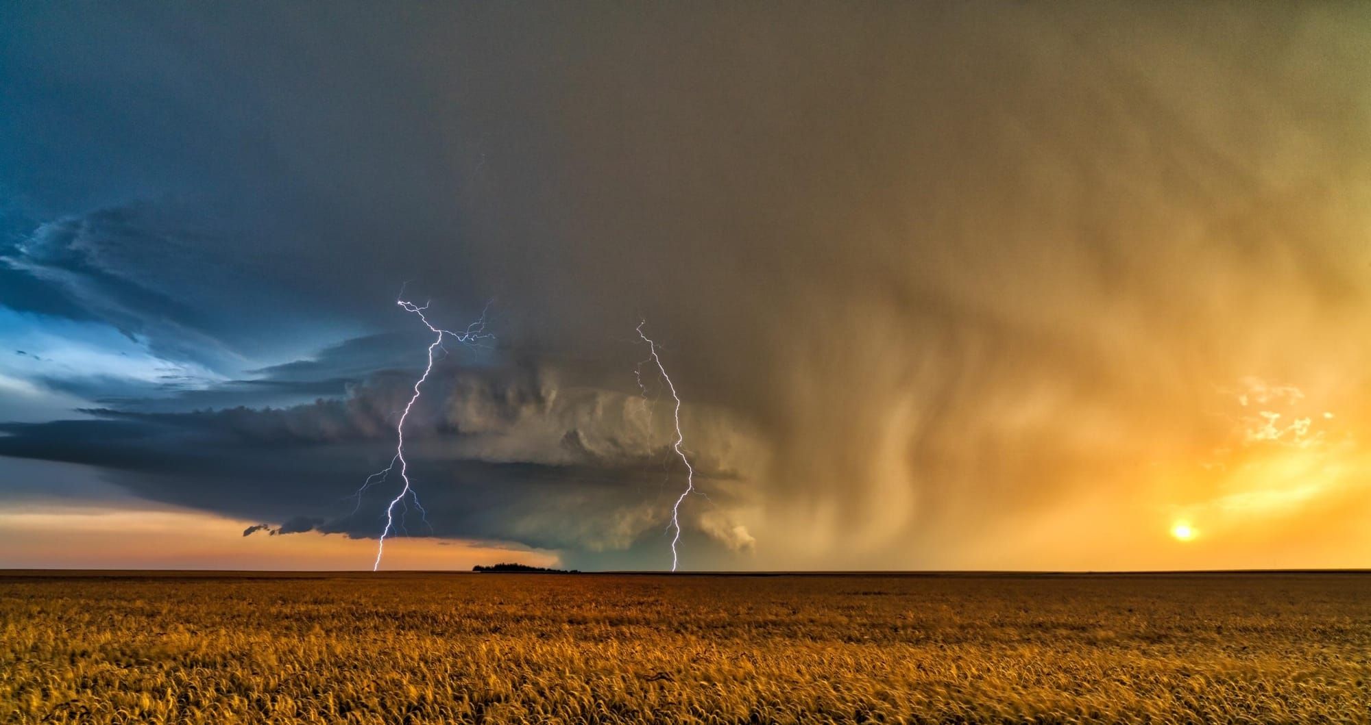 Kansas daily brief