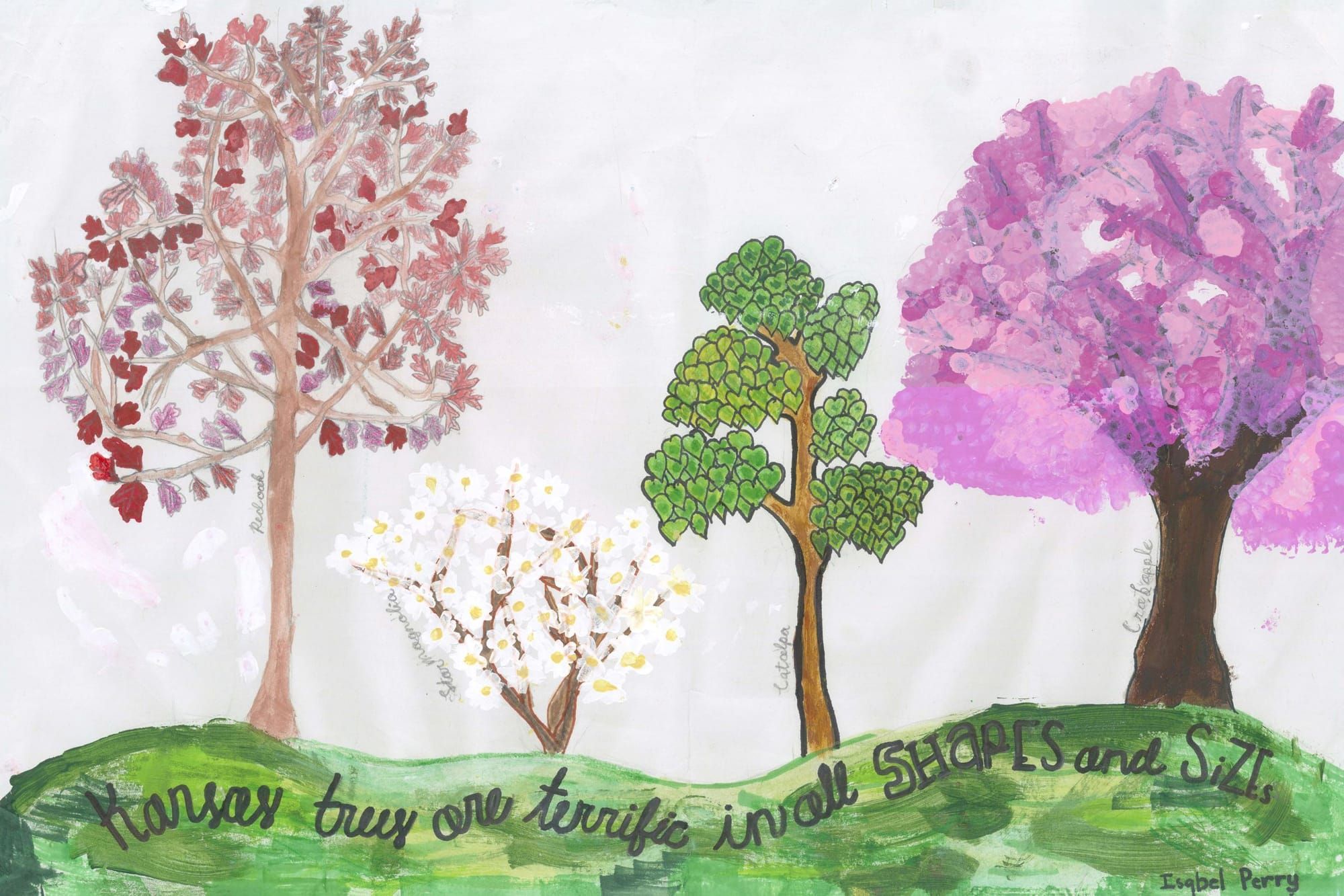 McPherson fifth-grader wins state Arbor Day poster contest