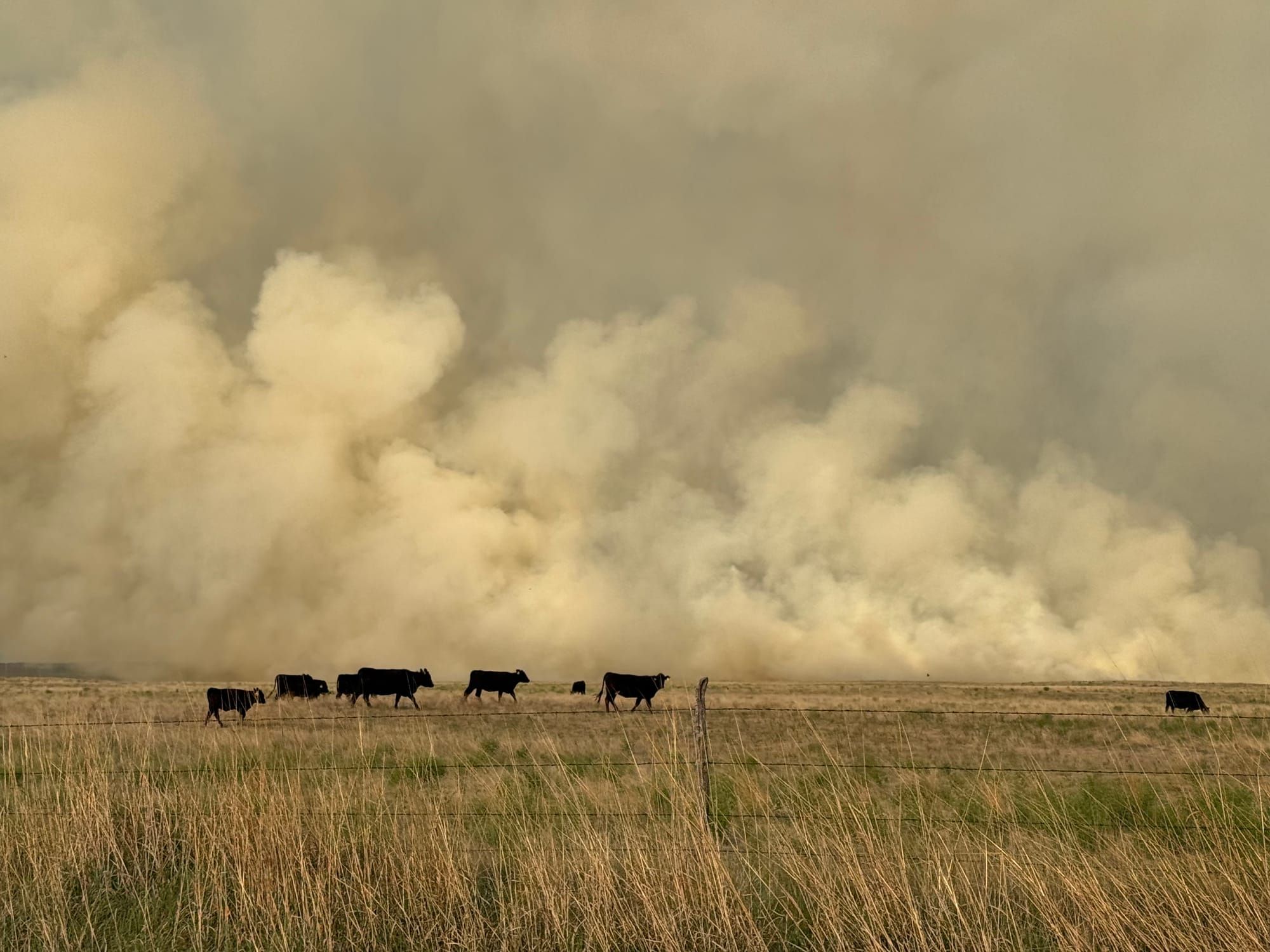 Kansas daily brief
