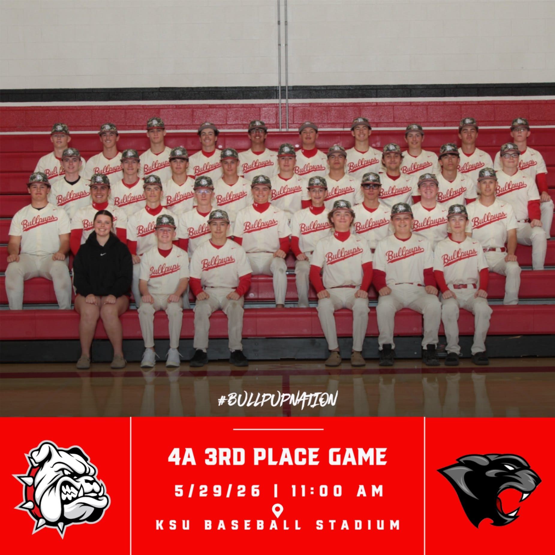 Bullpups Baseball Claims 3rd at State