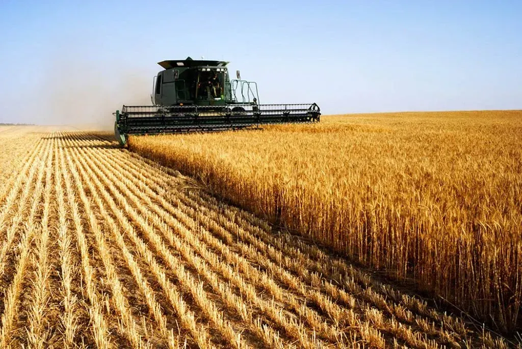 Top 5 Kansas news stories