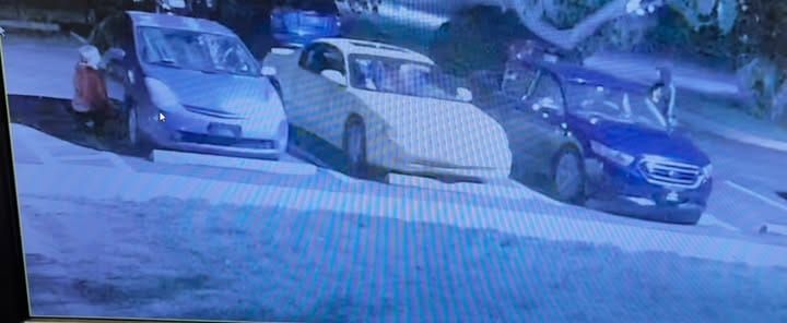 Police seek public's help identifying persons of interest in case