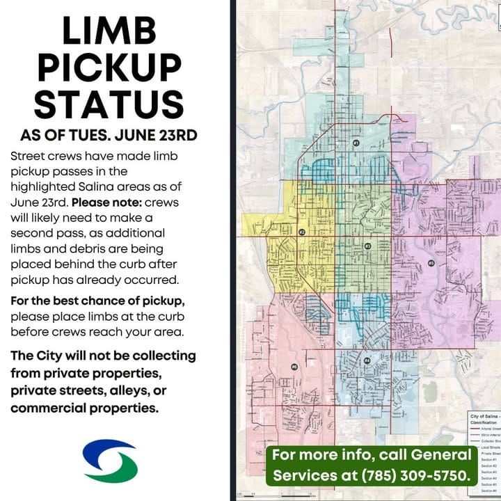 City anticipates second pass for post-storm tree limb cleanup